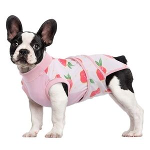 Pink Dog Recovery Suit